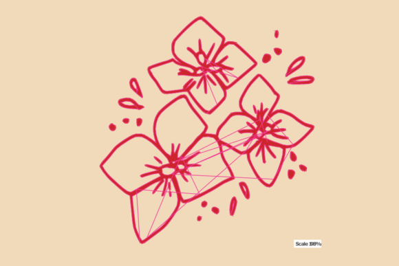 Amaryllis Flower: A Designer’s Review for Real Projects